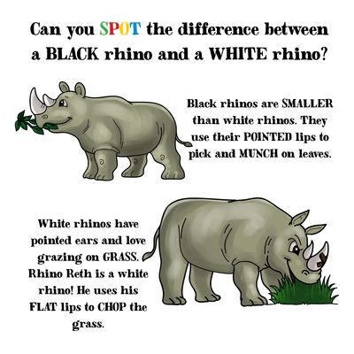 White Rhino